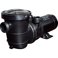 Pump A/G 1 Hp 1-1/2In 110V - ELEMENTS ABOVEGROUND